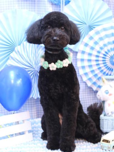 20231123アロちゃん